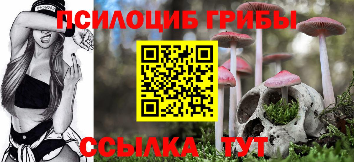 Кудрово  продажа наркотиков  Вход с VPN  Псилоцибиновые грибы GOLDEN TEACHER 